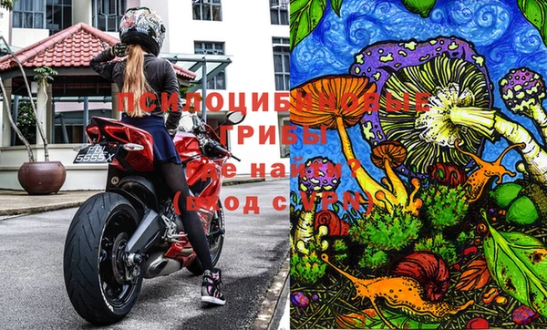 эйфоретик Волоколамск