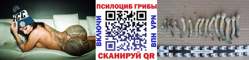 Псилоцибиновые грибы Psilocybine cubensis  Волжск 