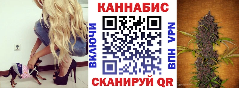 даркнет сайт  Волжск  Конопля White Widow 